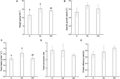 Influence of Non-protein Diets on Hepatic Metabolism and Endocrine in Barramundi (Lates calcarifer)